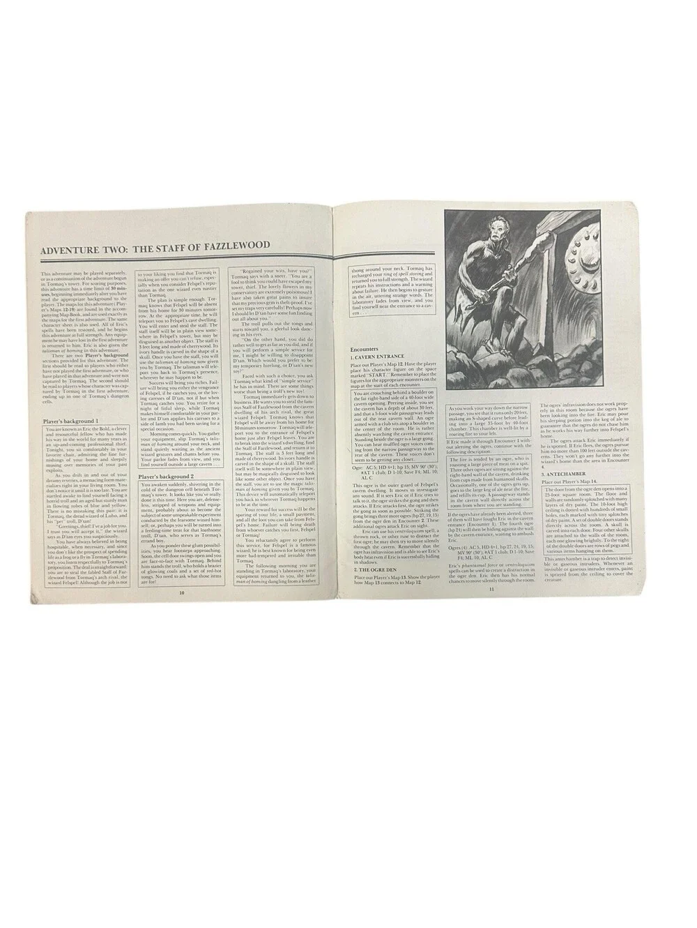 B-121 1983 TSR ADVANCED D&D ADVENTURE MODULE THE GEM AND THE STAFF